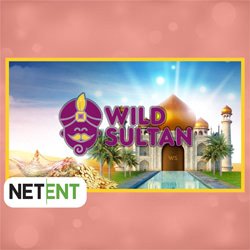 casino netent wild sultan